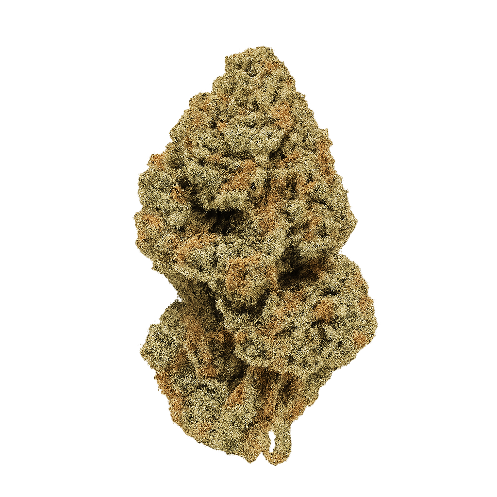 420 Evolution 25/1 CA BUL Bucket List