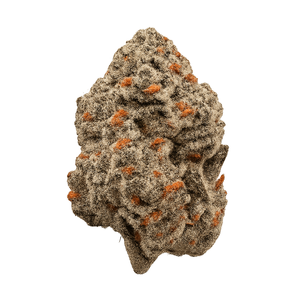 420 Evolution 25/1 CA PCH Peach Chementine