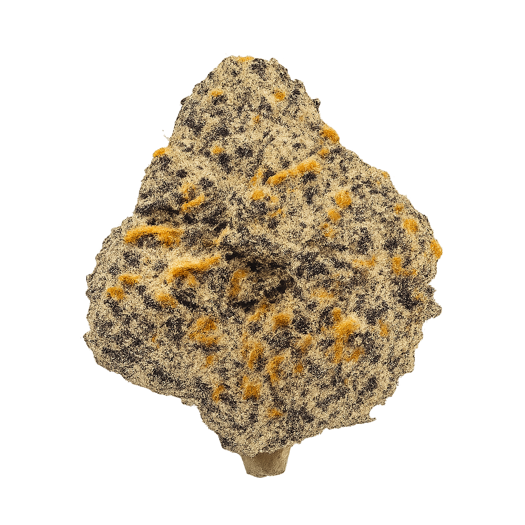 420 Compound 25/1 RPV Rose Gold Pave